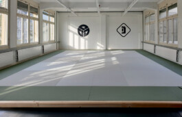 Shinbudo Biel/Bienne