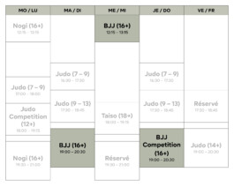 Shinbudo Biel/Bienne