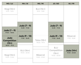 Shinbudo Biel/Bienne
