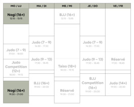 Shinbudo Biel/Bienne
