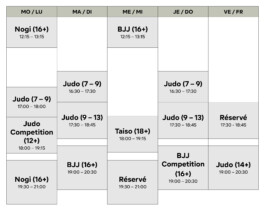 Shinbudo Biel/Bienne